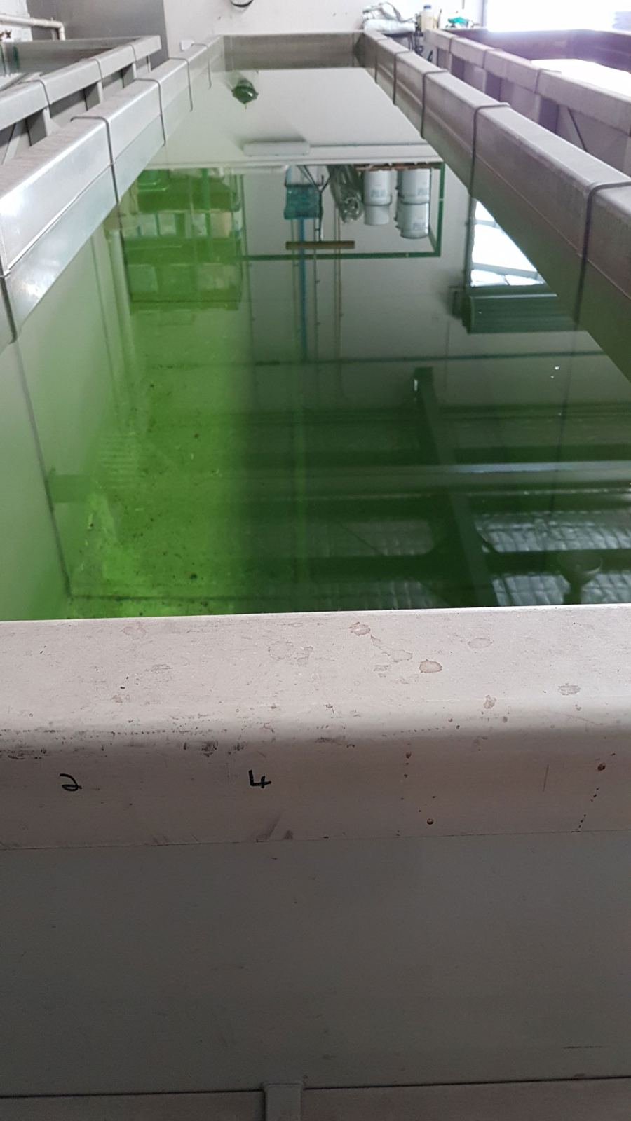 Pre-treatment tank
